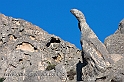Caprera 40D_9948_2rid)